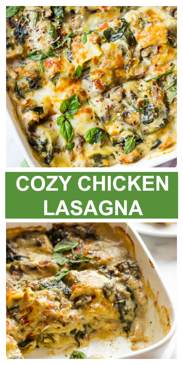 Chicken Spinach and Mushroom Lasagna - Little Broken