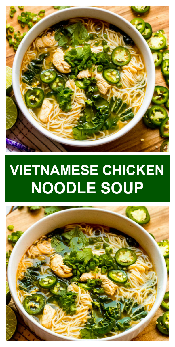 Vietnamese Chicken Noodle Soup (Easy Pho Soup) - Little Broken